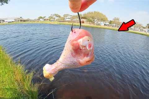Tossed out THIS Crazy Bait and It Worked! *Catch, Clean, Cook*