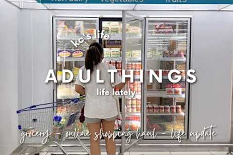 life lately • i bought a treadmill, monthly grocery, online shopping haul | living alone diaries