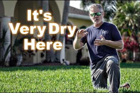 Dry Lawn // Gulf States Watering Tips In The Dry Season