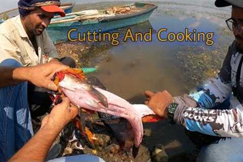 Fish Catching, Cutting And Cooking-AMAZING SNAKEHEAD CUTTING Murrel Fish Fry Cooking In Wild.￼
