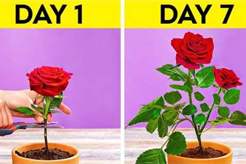 Easy Garden Hacks You Should Know Right Now!