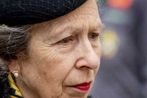 Princess Anne: The Private Life of the Most Hardworking Royal