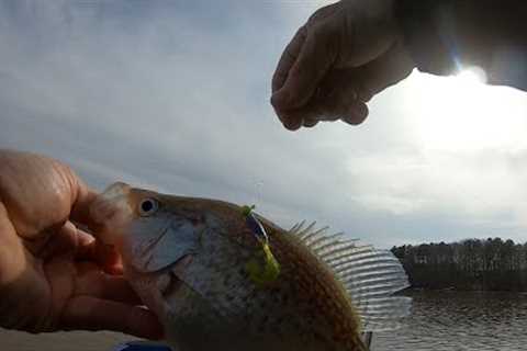 Kerr Lake Fishing With Grubs / Good Spring Crappie Baits
