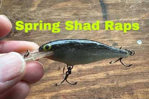 How To Catch Springtime Fish On A Shad Rap