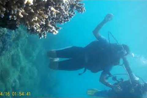 Scuba Diving in Andaman | Best Experience in Andaman | Travel to Andaman | watch till End