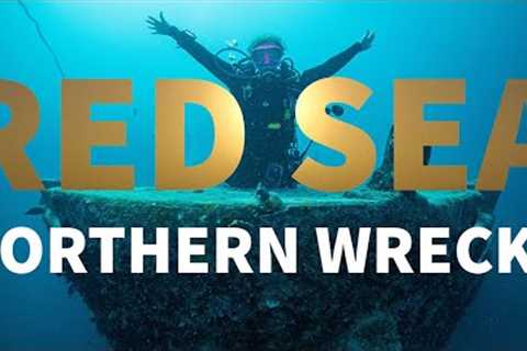 RED SEA Northern Wrecks - Scuba Diving Tour
