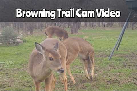 Browning Recon Force Advantage Trail Cam Dec. 21-23, 2022