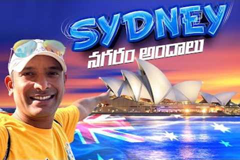 Free Things To Do In Sydney | sydney opera house facts | sydney harbour bridge