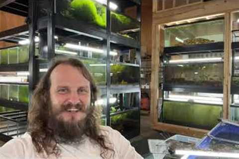 Friday Night Live Q&amp;A Freshwater Aquarium Keeping Fish Shrimp and Plants