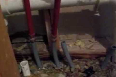 Polybutylene Plumbing Repair