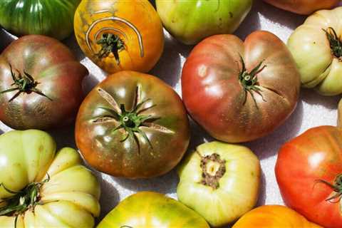 What are Heirloom Seeds?