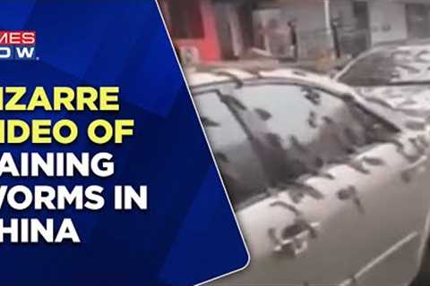 Bizarre Video Of Raining Worms In China's Beijing Went Viral, Slimy Creature Falling From The Sky