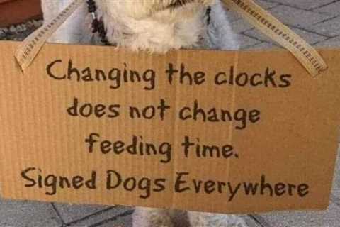 It's time to spring forward