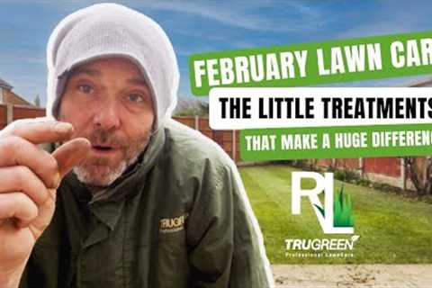 FEBRUARY LAWN TREATMENTS ON MY LAWN