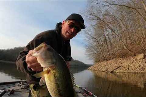 Tims Ford Lake Bass Fishing Pre-Spawn Bass Fishing Late winter/Giants are Lurking Deep #wootungsten.