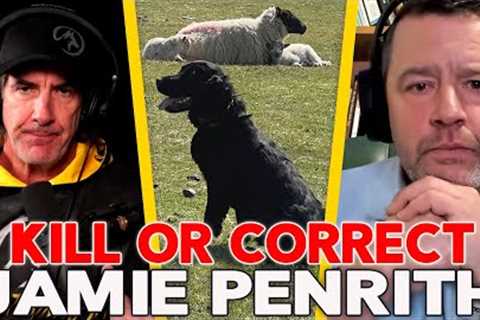 What's More Evil?  Dog Training Tools vs The Alternative - Episode 109 Jamie Penrith