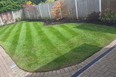 Maintaining the DRAINAGE PROBLEM SOLVED  garden