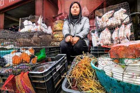 India's SCARIEST Meat Market!! Rats, Cats, Dogs and More in Nagaland!!