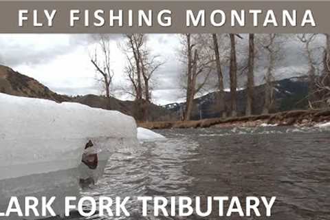 Fly Fishing Montana's Clark Fork Tributary in Spring [Episode #38]