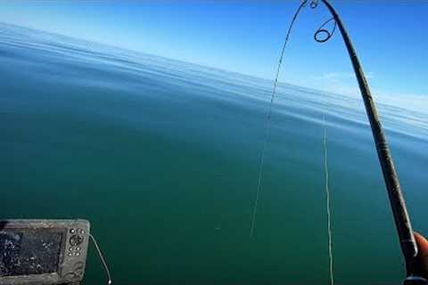 Diverse Fishing On Underwater Rocks + Underwater Camera View