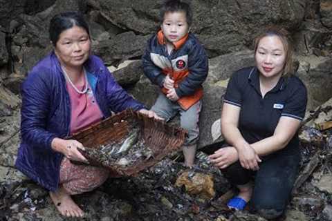 Catch fish in the stream on weekends | Cooking with mom - Triệu Pham