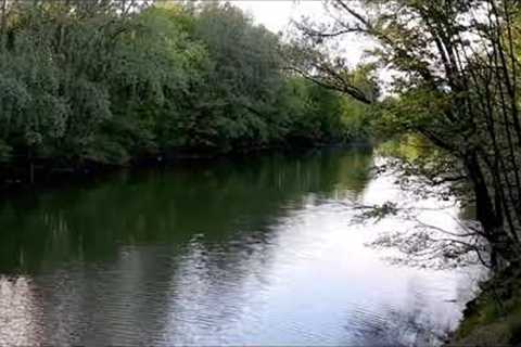 Healing frequencies Strengthen organs Reduce stress Relaxation music Vienna Nature