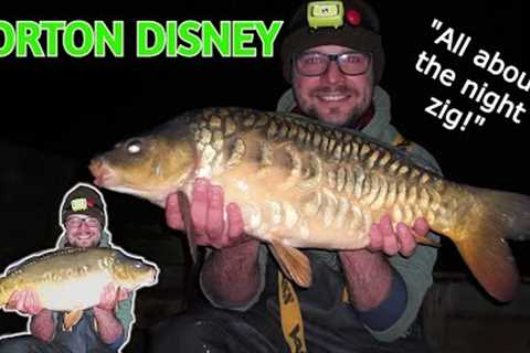 CARP FISHING| Winter carping at NORTON DISNEY!