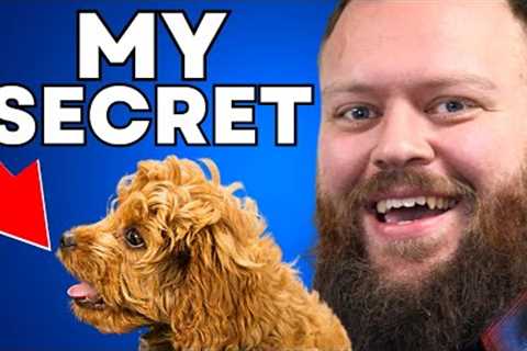 3 Dog Training Habits That Will Change Your Life