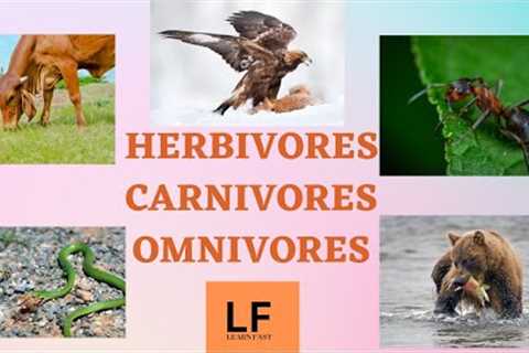 Herbivores, Carnivores, Omnivores | Types of Animals | Eating habits of animals