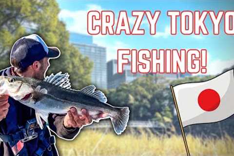 A guide to fishing in Tokyo - THE URBAN FISHING CAPITAL OF THE WORLD 🏙️ 🇯🇵 (4K)