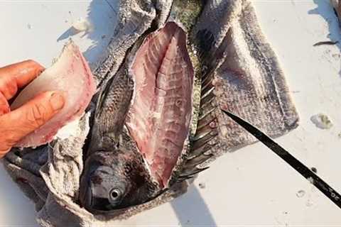 Catch, Cut, and COOK EASY Recipe + Flats and Dock Fishing