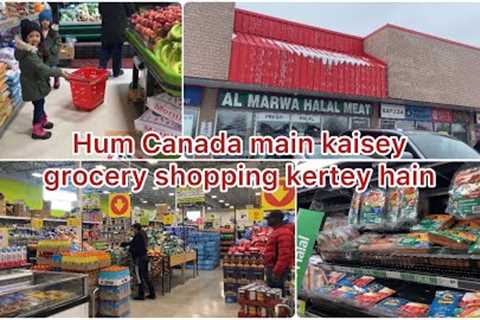 How we do grocery shopping in Canada | Hum Canada main kaisey grocery shopping kertey hain| Canada