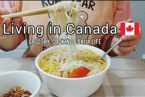 Daily life living in Canada | Grocery shopping | Cooking| ordinary days in my life