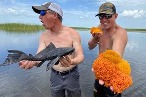 HAND CATCHING PREHISTORIC FISH (*CAVIAR* Catch &amp; Eat)