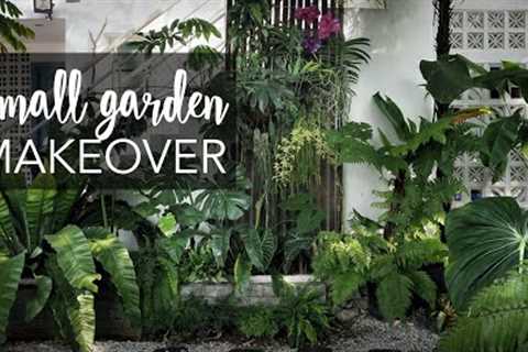 Small tropical garden (20sqft) makeover with 10 Pro Gardening Tips