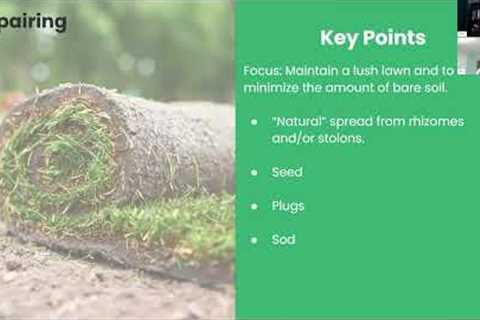 Lawn Care Basics for a Southern Lawn