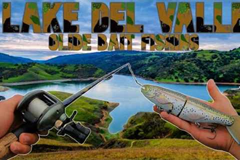 LAKE DEL VALLE GLIDE BAIT FISHING | LAKE DEL VALLE BASS FISHING | HOW TO FISH A NEW BODY OF WATER