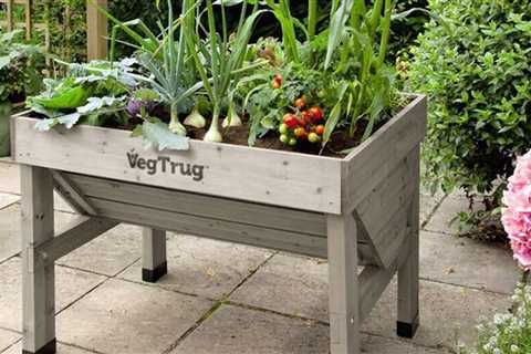 The VegTrug planter is so easy to use, you don't even need a yard!
