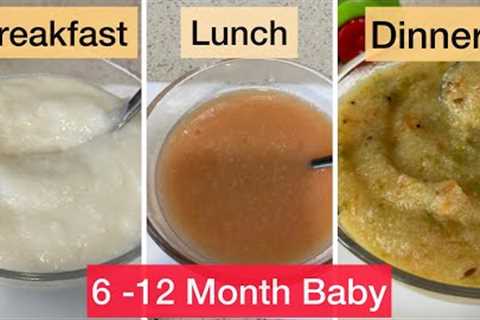 1 Day Meal Plan for Babies|6-12 Month Baby Food|Breakfast\Lunch\Dinner Ideas for Babies| Baby Food|