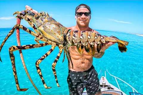 Can I Cook Giant Lobster Using The Sun?