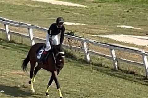 Horse Race Peoples Stadium F Class 4 Furlongs 3/12/23
