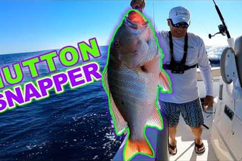 Catching a MUTTON SNAPPER off Key Largo