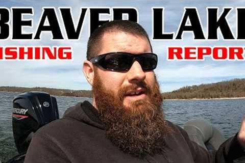 Beaver Lake Fishing Report February Recap 2023