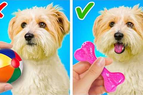 TRENDY GADGETS AND TOYS FOR YOUR PETS