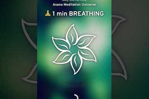 1 min breathing exercise —Asana Meditation Universe