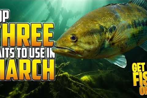 THREE Bass Fishing Baits To Use In March &amp; CATCH MORE FISH