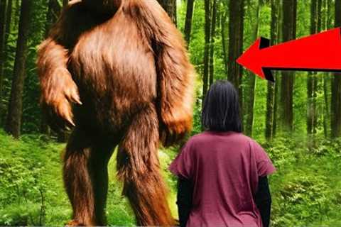 We Had PROOF The Whole Time - BEST Evidence Yet