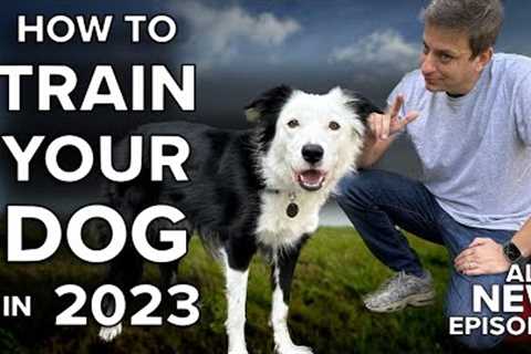 I’ll Show You How To Get Your Dog to Listen To You Anywhere on Earth ￼￼