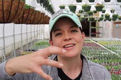 Nursery Tour of Flowering Annuals | Gardening with Creekside