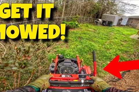 Backyard Mowing | Lawn Mower | Lawn Care | Cutting Grass | Lawn Care Business | Lawn Care SetUp